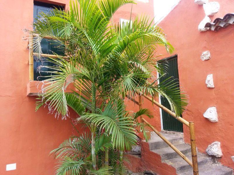 Apartmento Tabares Tejina Luaran gambar